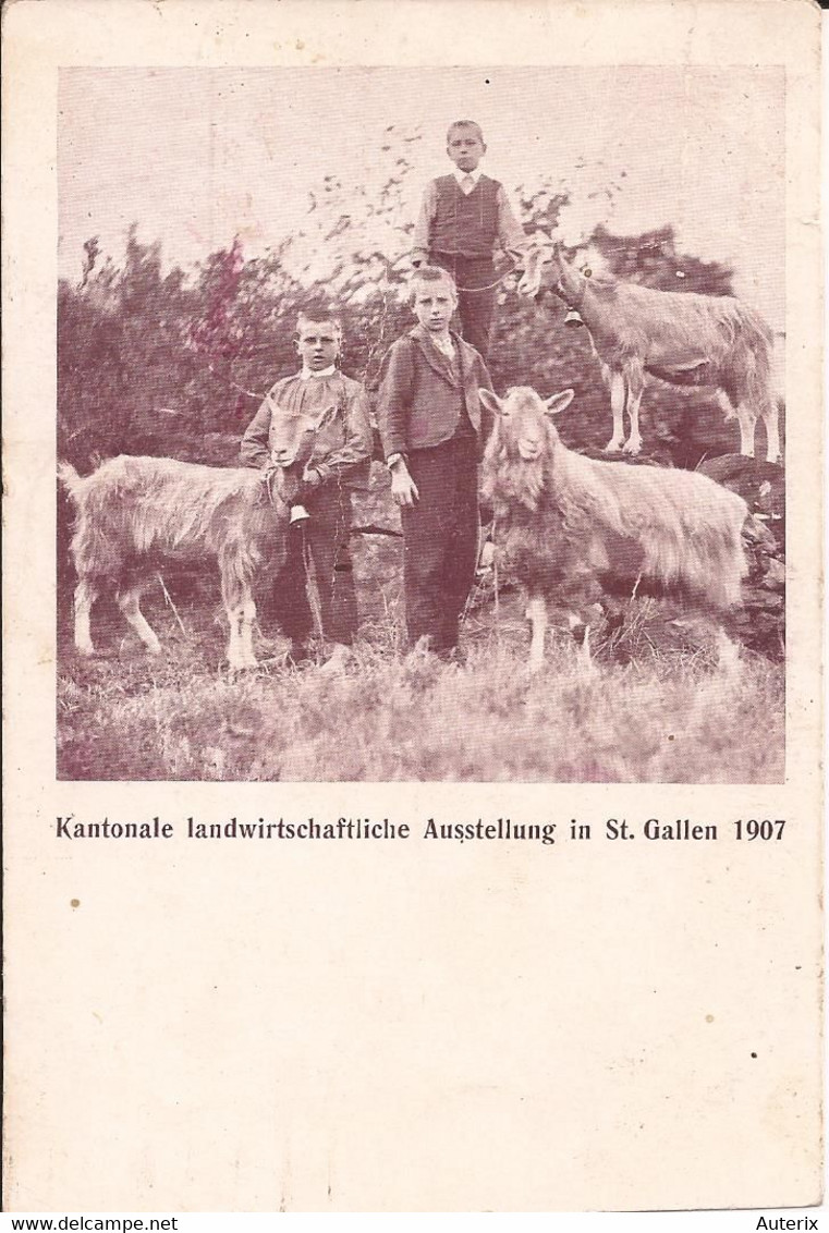 Suisse - C -  St. Gall - Kantonale Landwirtschaftliche Ausstellung In St Gallen 1907 Chevres Ziegen Goat - St. Gallen