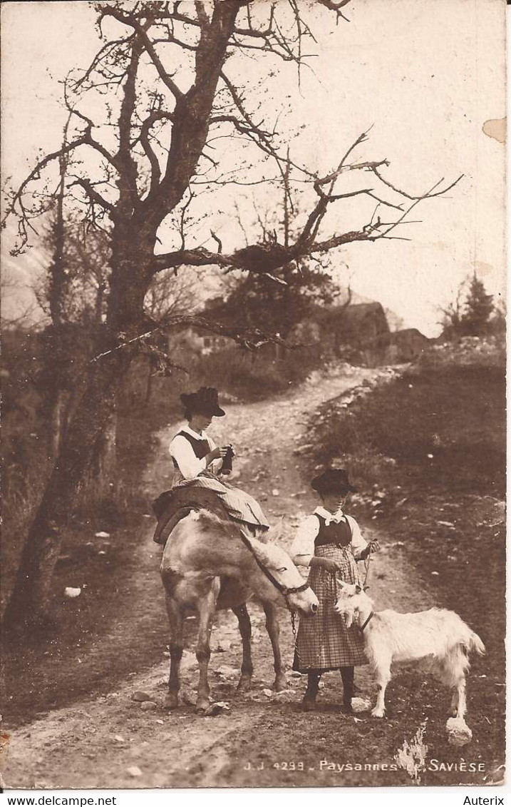 Suisse - Valais - Paysannes De Savièse Bis Cheval Jullien Jj4239 Chevres Ziegen Goat - Savièse