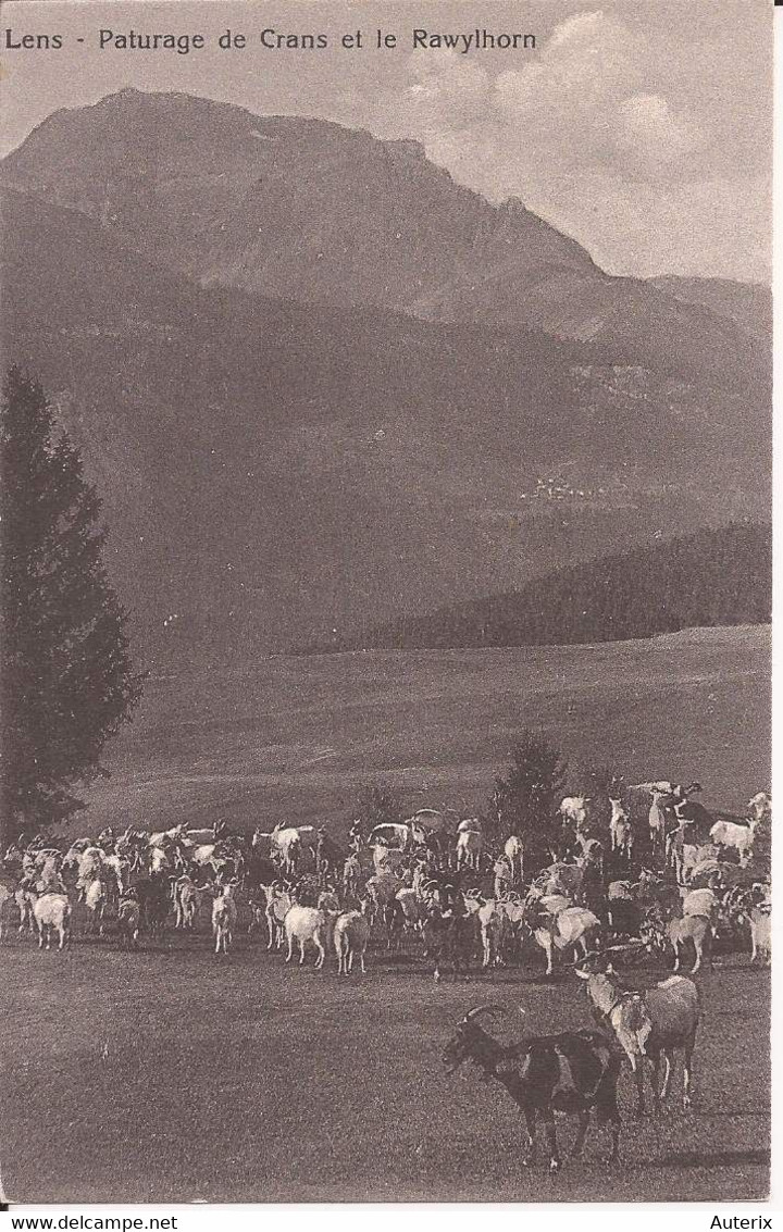 Suisse - Valais - Lens - Paturage De Crans Et Le Rawylhorn  Chevres Ziegen Goat - Lens