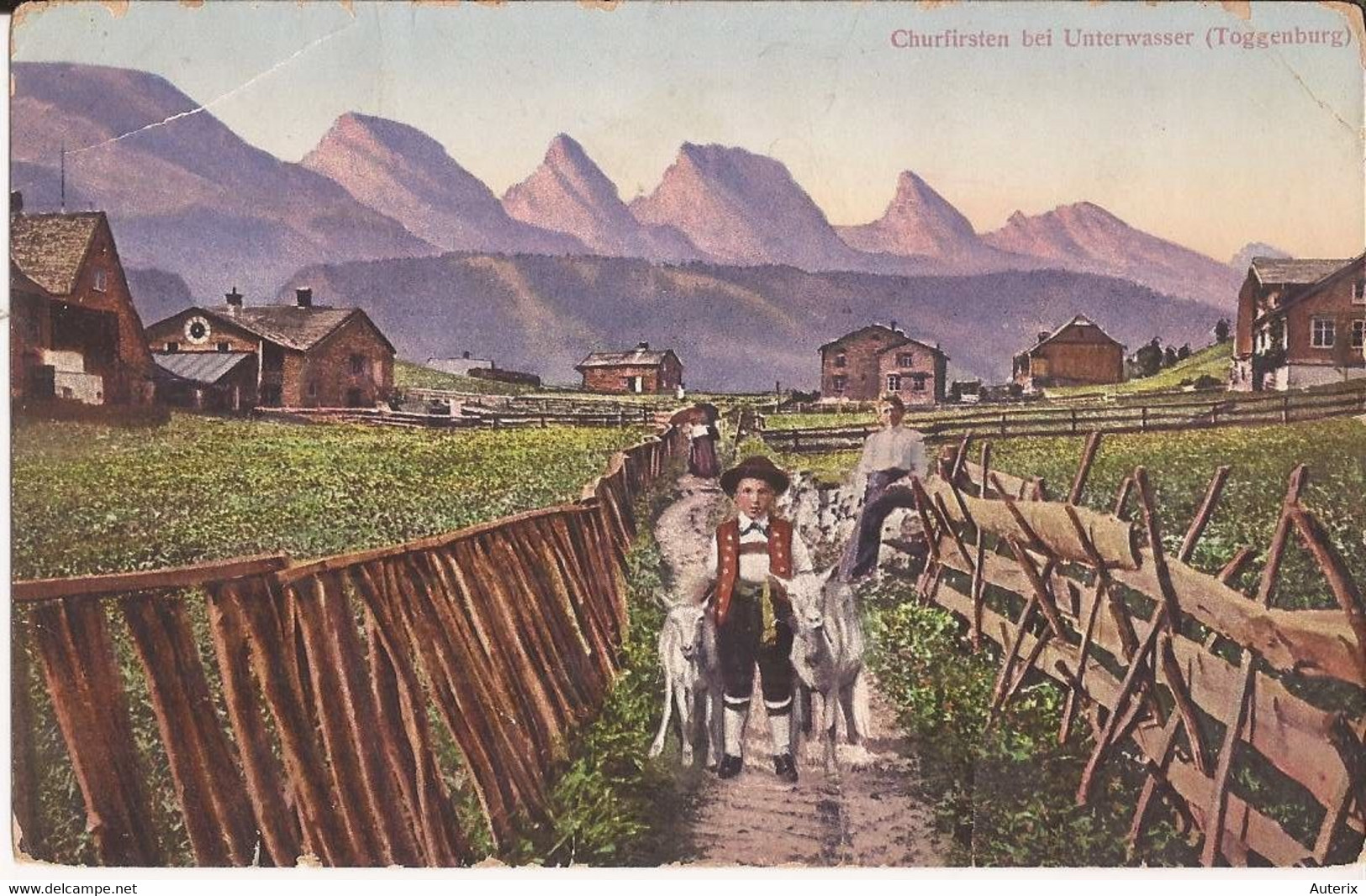 Suisse - C -  St. Gall - Churfirsten Bei Unterwasser (Toggenburg) Chevres Ziegen Goat - St. Gallen