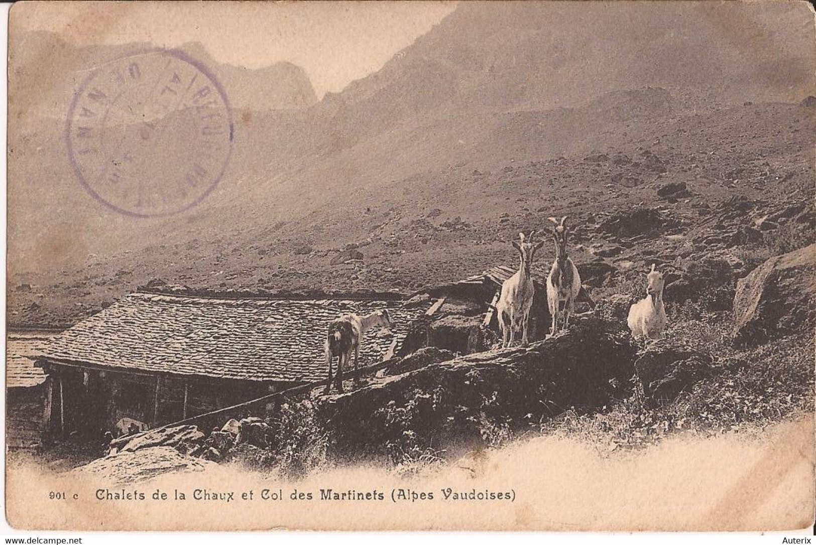 Suisse - Vaud - Chalets De La Chaux Et Col Des Martinets (Alpes Vaudoises) Chalet Chevres Ziegen Goat - La Chaux