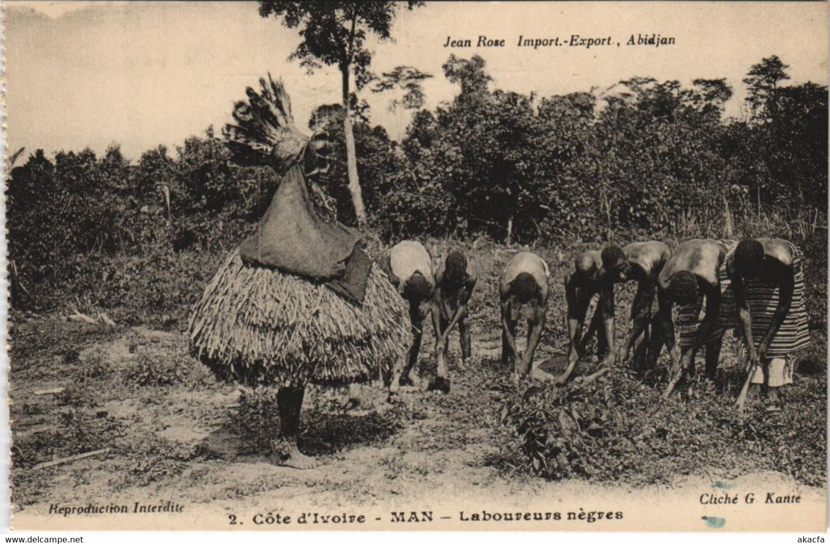 PC MAN LABOUREURS NEGRES IVORY COAST ETHNIC TYPE (a28260) - Côte-d'Ivoire