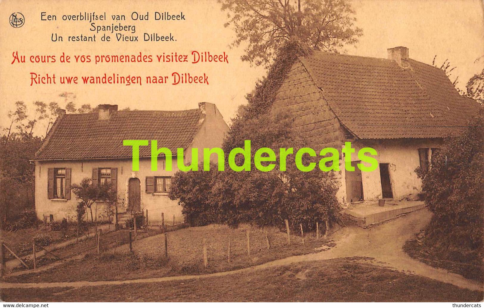 CPA DILBEEK EEN OVERBLIJFSEL VAN OUD DILBEEK - Dilbeek