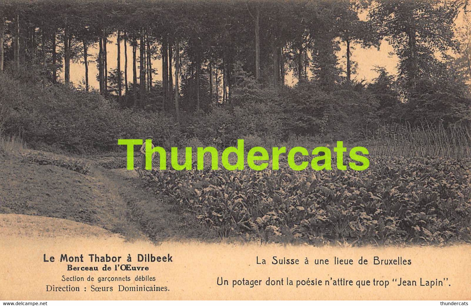 CPA DILBEEK LE MONT THABOR A DILBEEK - Dilbeek