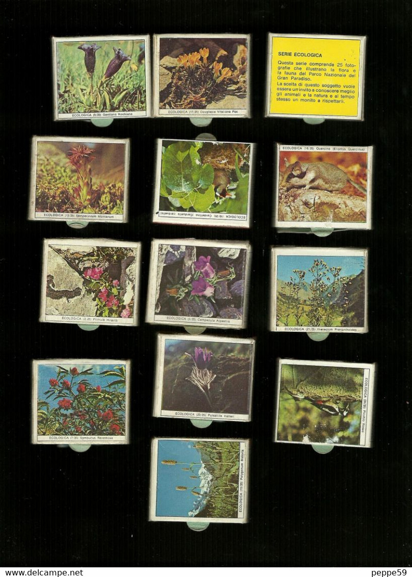 N.13 Scatole Cerini Saffa Italia Anni 70  - Serie Ecologia Completa 25 Figure Su 25 - Boites D'allumettes