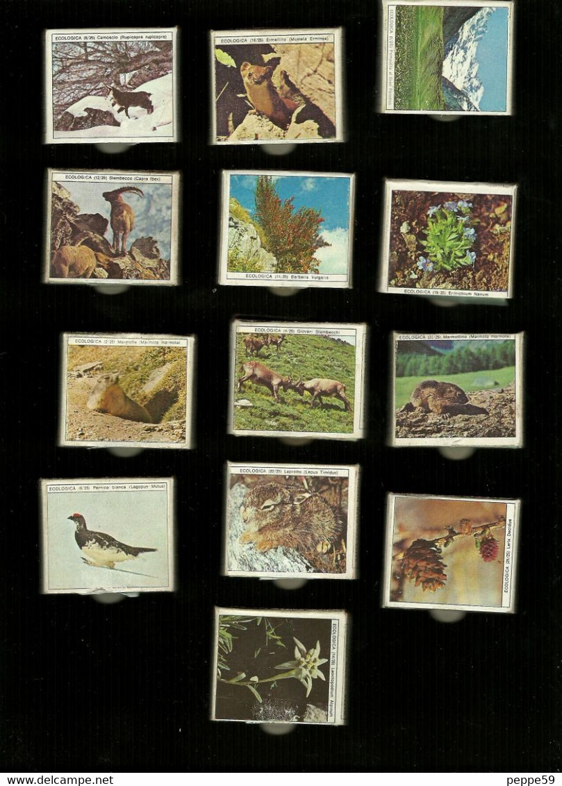 N.13 Scatole Cerini Saffa Italia Anni 70  - Serie Ecologia Completa 25 Figure Su 25 - Boites D'allumettes