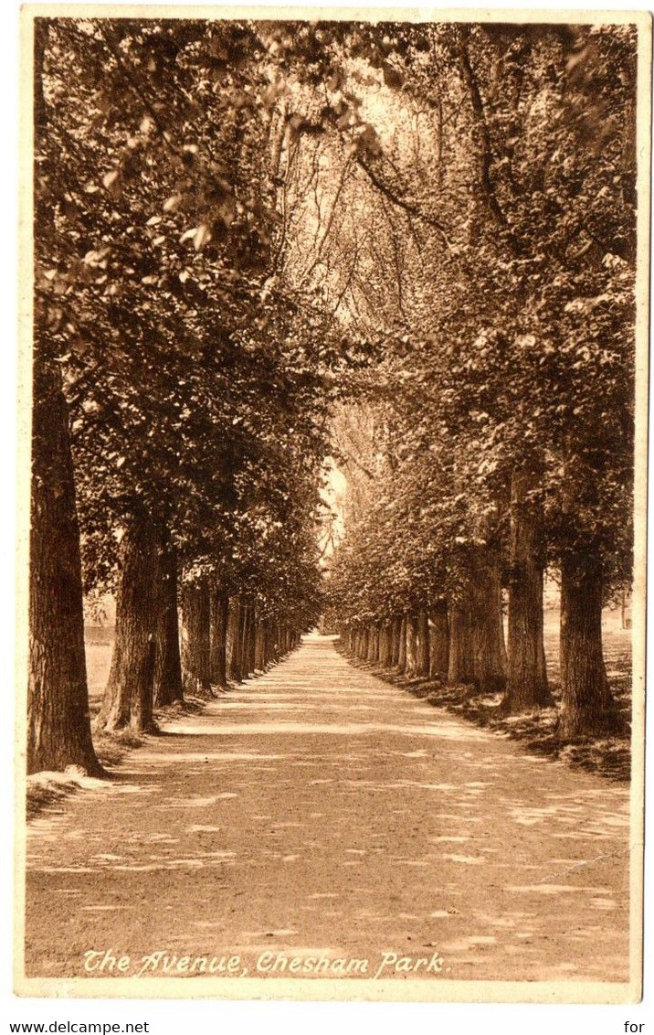 Angleterre : Buckinghamshire : Chesham : Chesham Park - The Avenue - Buckinghamshire