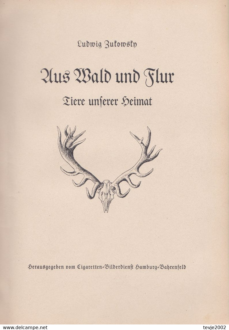 Aus Wald Und Flur - Tiere Unserer Heimat - Komplettes Album Mit Allen Bildern Von 1938 - Sehr Gut Erhalten - Collezioni E Lotti