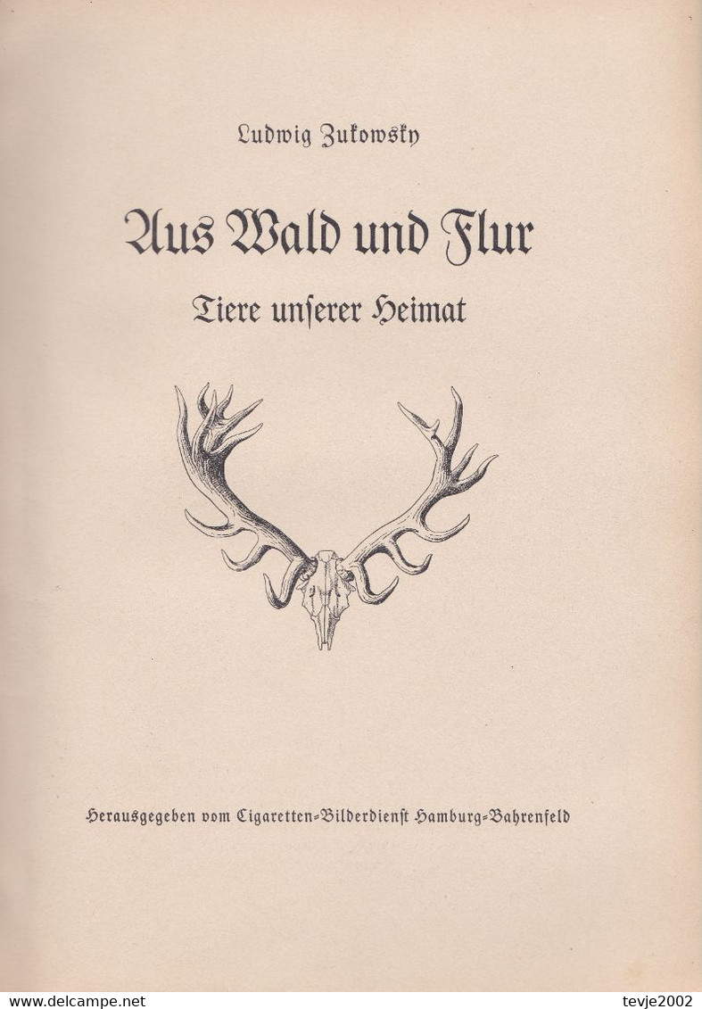 Aus Wald Und Flur - Tiere Unserer Heimat - Komplettes Album Mit Allen Bildern Von 1938 - Sehr Gut Erhalten - Collections & Lots