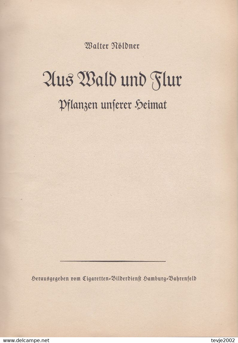 Aus Wald Und Flur - Pflanzen Unserer Heimat - Komplettes Album Mit Allen Bildern Von 1937 - Sehr Gut Erhalten - Collezioni E Lotti