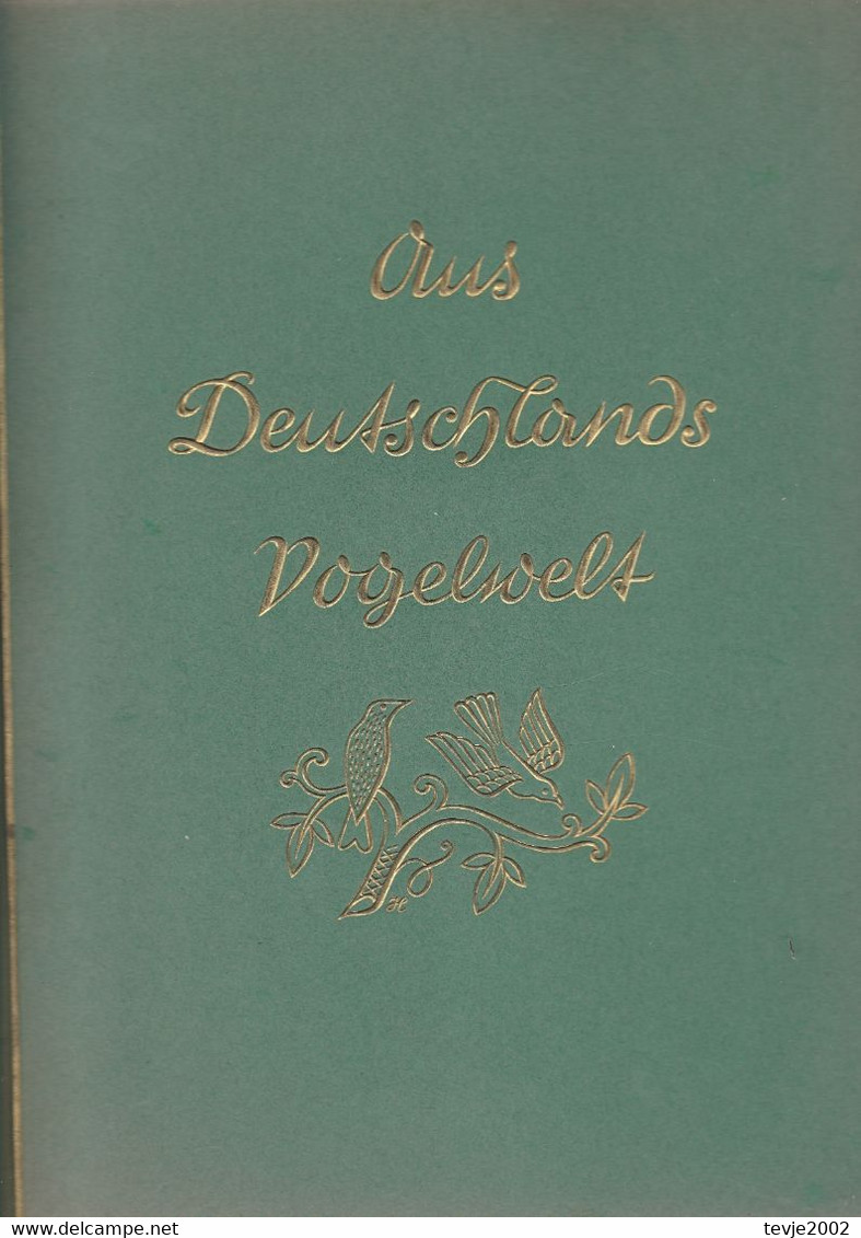 Aus Deutschlands Vogelwelt 5 - Album Mit Bildern Von 1933 - Sehr Gut Erhalten - Collections & Lots