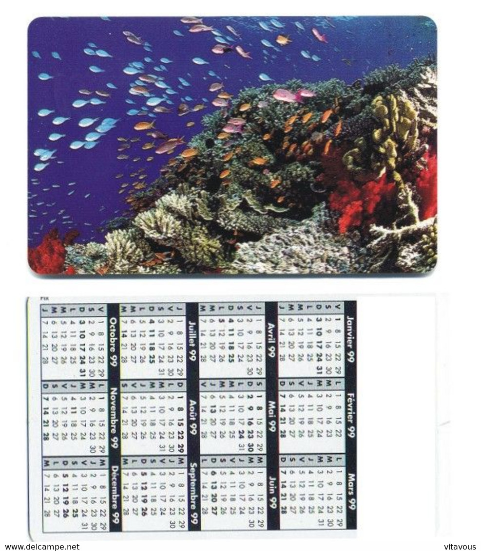 Mer  Poisson Carte Calendrier 1999 France Calendar - Altri & Non Classificati