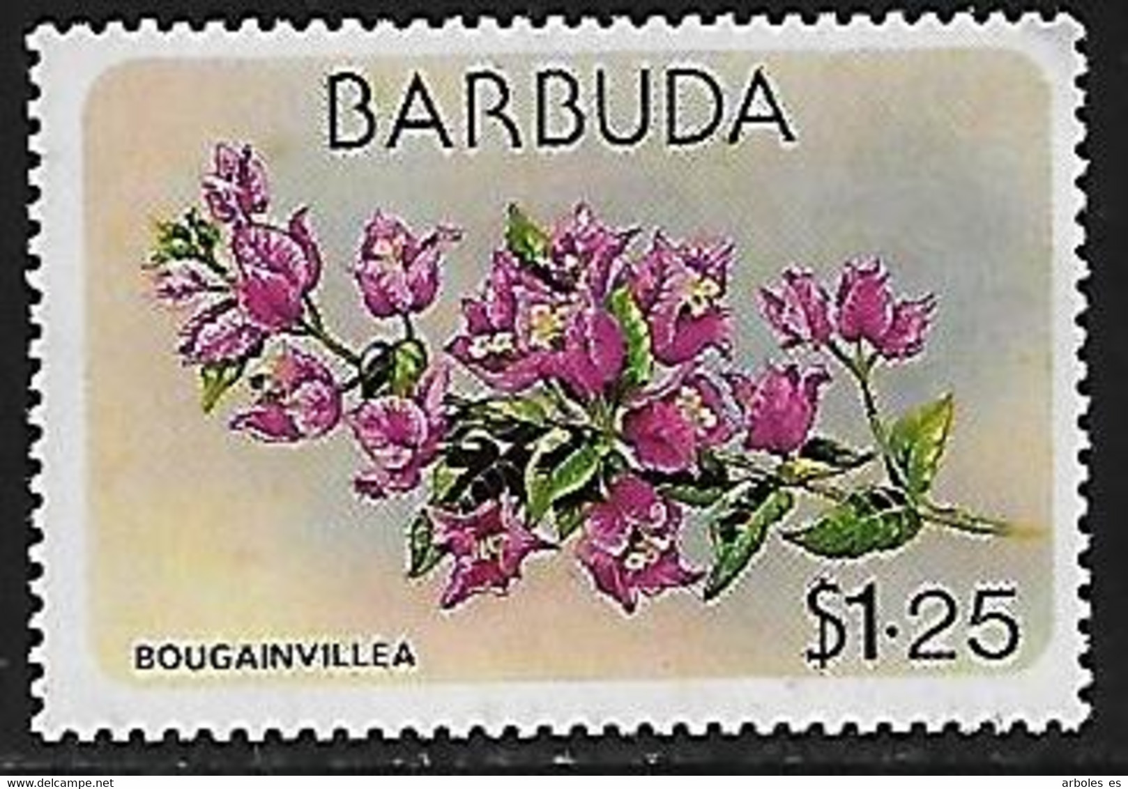 BARBUDA - FLORA Y FAUNA DE BARBUDA - AÑO 1978 - Nº CATALOGO YVERT 0411 - NUEVOS - Barbuda (...-1981)