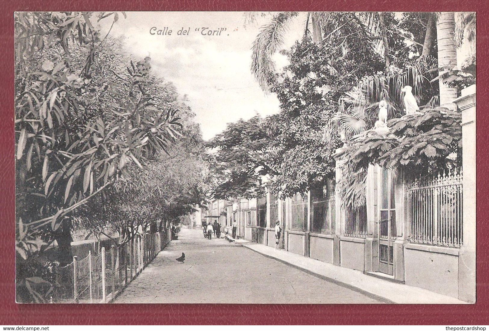 GRAN CANARIA - CALLE DEL TORIL UNUSED - Gran Canaria