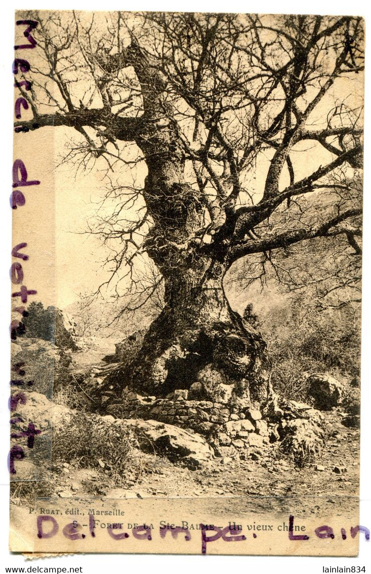 - 5 - Forêt De La Sainte Baume, Nans Les Pins, ( Var ), Un Vieux Chéne, Peu Courante, écrite, 1907, TBE, Scans. - Nans-les-Pins