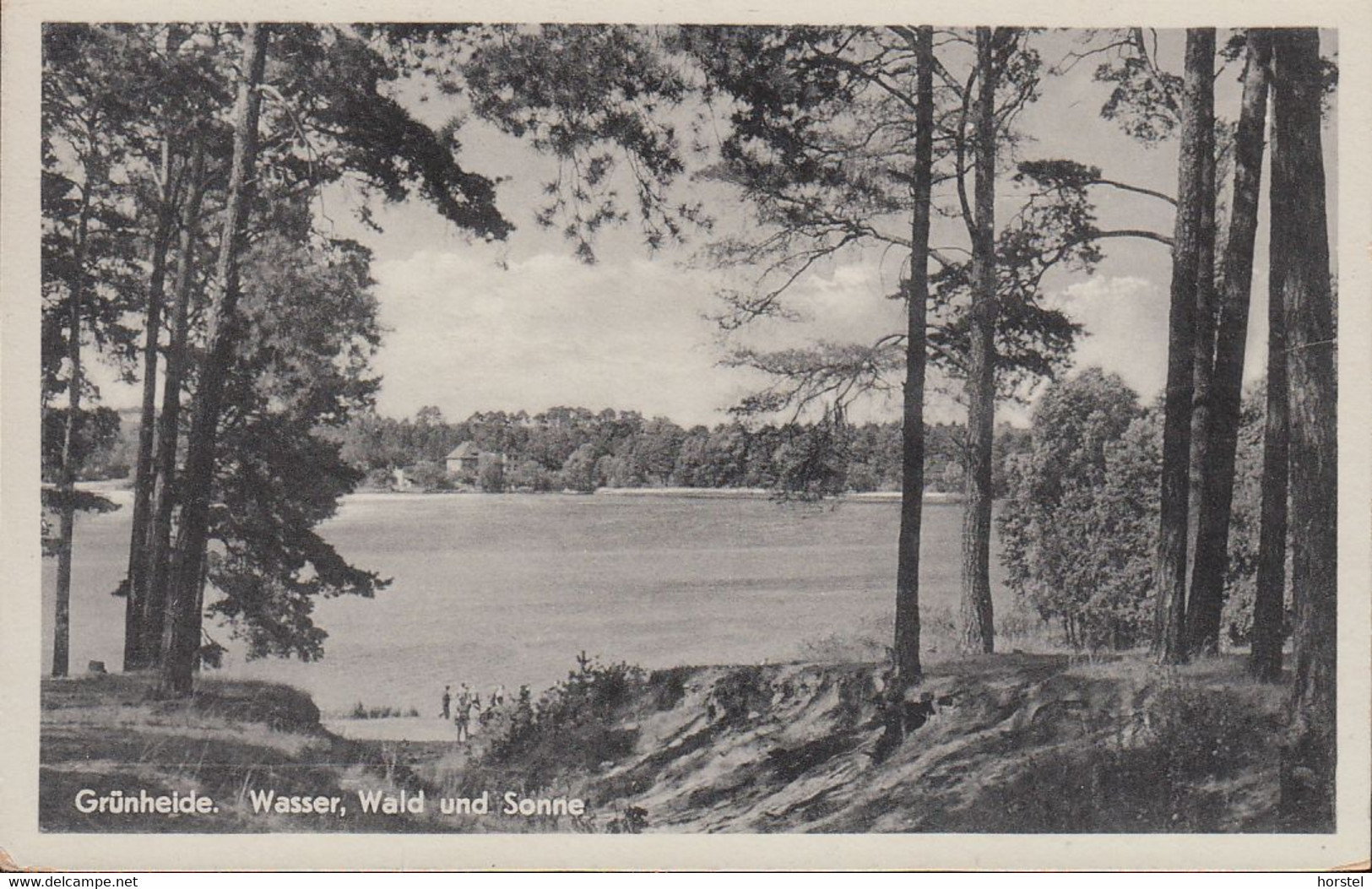 D-15537 Grünheide - Wasser- Wald Und Sonne - Nice Stamp - Gruenheide