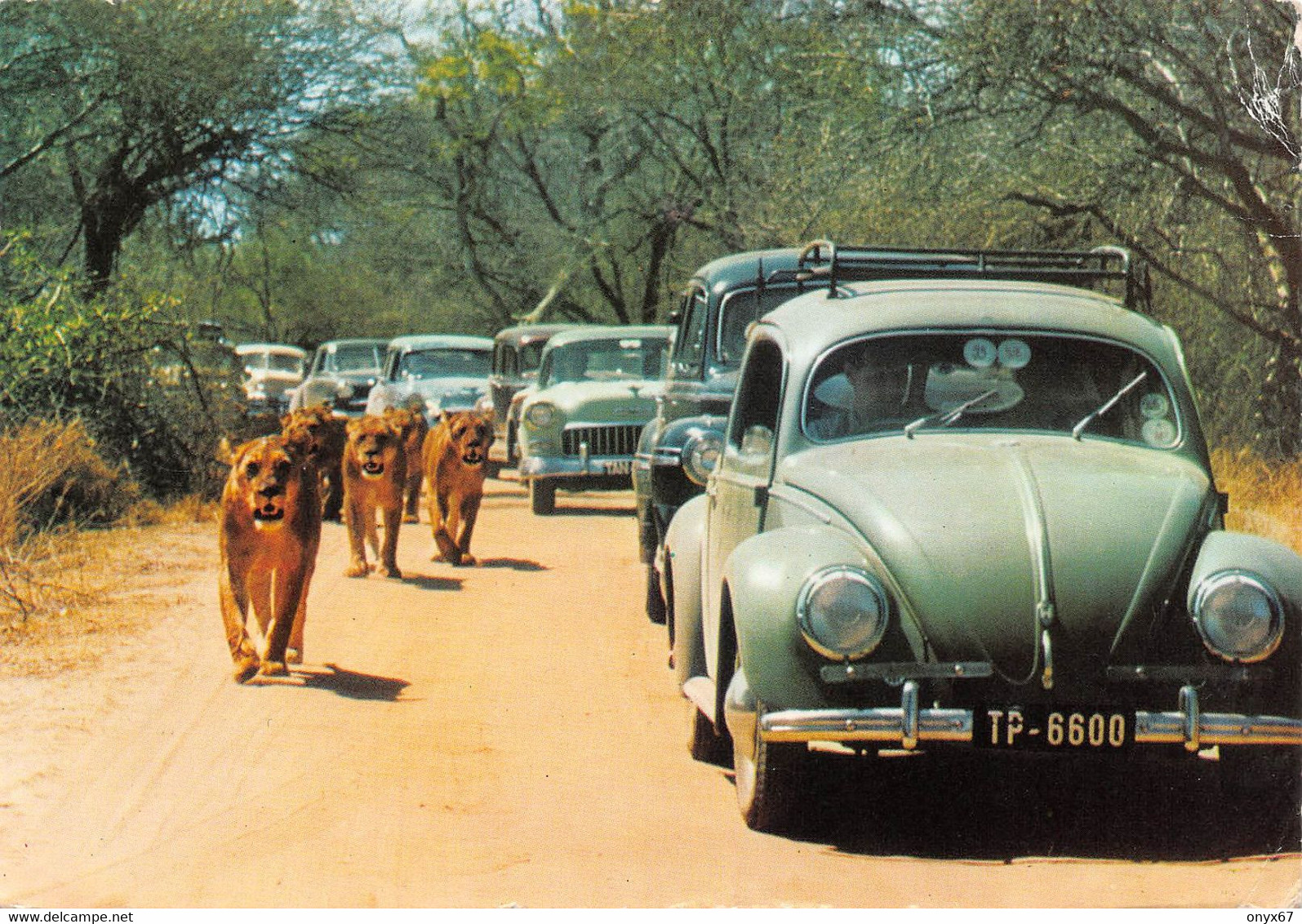 GF-Afrika-Afrique-Stamp Rhodesia And Nyasaland-Lion Parade-VOITURE-AUTO-AUTOMOBILE-VOLKSWAGEN-COCCINELLE-GRAND FORMAT - Non Classificati