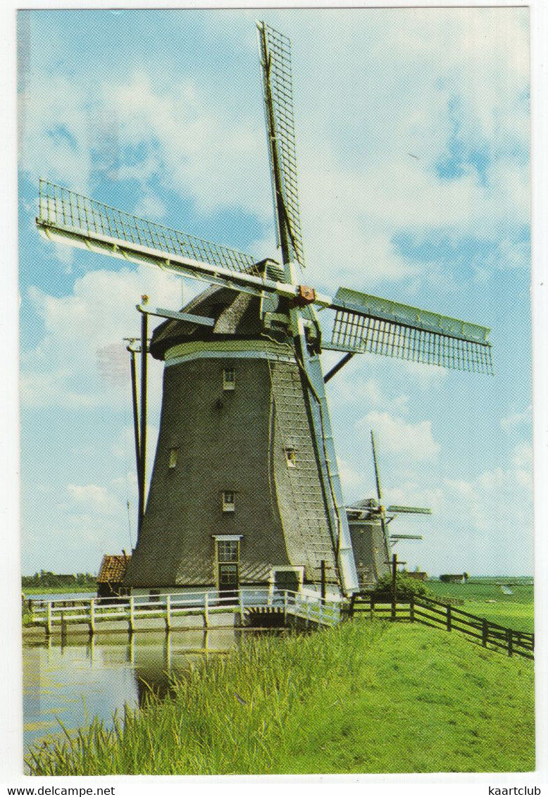 Leidschendam: Driegang Van De Driemanspolder; 8-kantige Rieten Poldermolen  (Nederland/Zuid-Holland) - Moulin/Mill/Mühle - Leidschendam