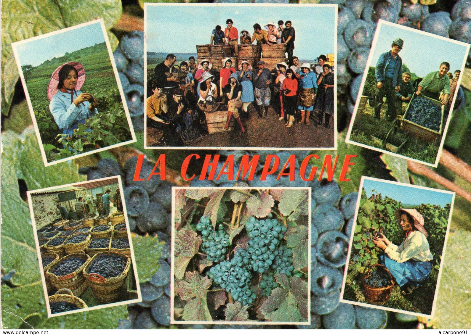 LA CHAMPAGNE - Multivues - Champagne-Ardenne