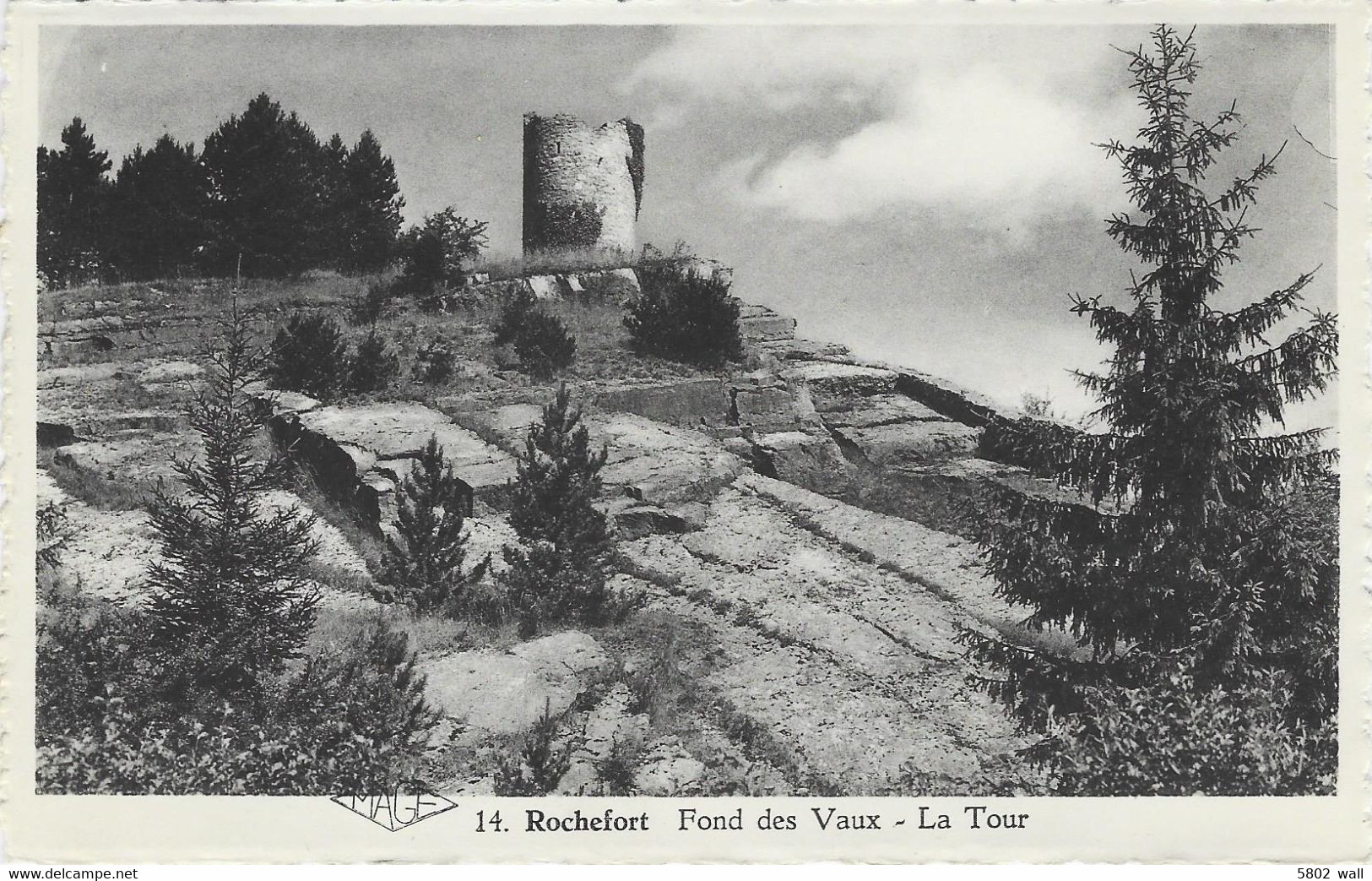 ROCHEFORT : Fond Des Vaux - La Tour - Rochefort