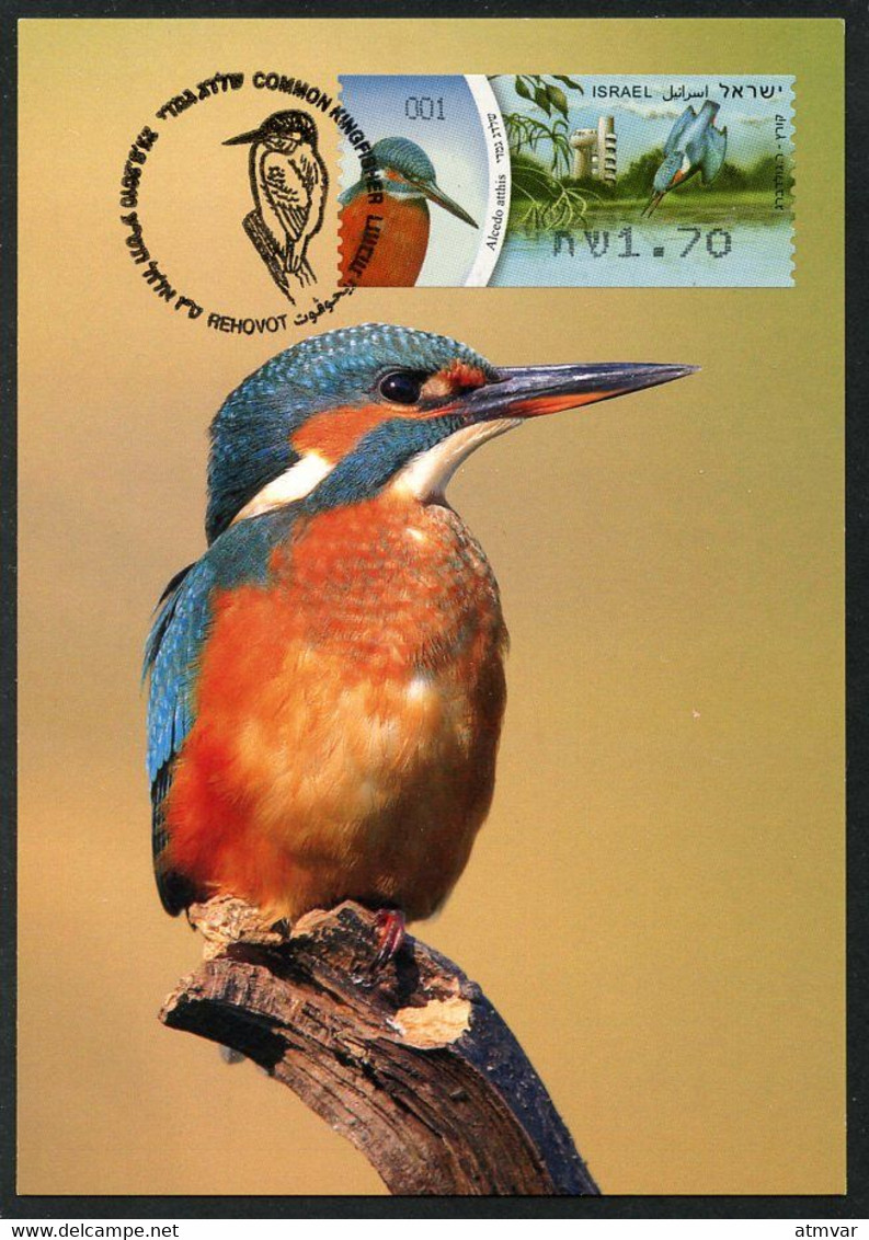 ISRAEL (2010) Carte Maximum Card ATM - Alcedo Atthis, Common Kingfisher, Martin-pêcheur, Eisvogel - Bird, Oiseau - Tarjetas – Máxima