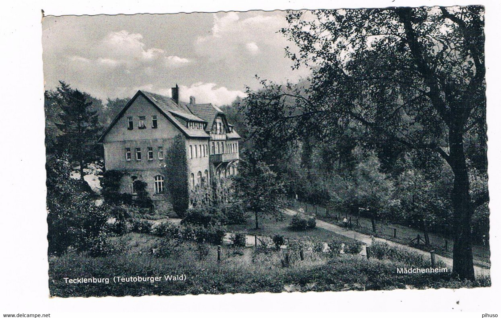 D-14451   TECKLENBURG : - Steinfurt