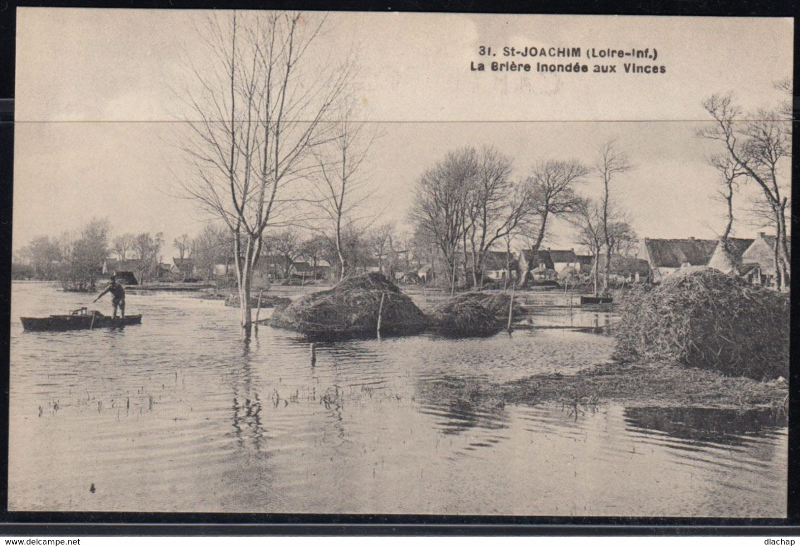 Saint Joachim Loire Inf. La Brière Inondée Aux Vinces. - Saint-Joachim