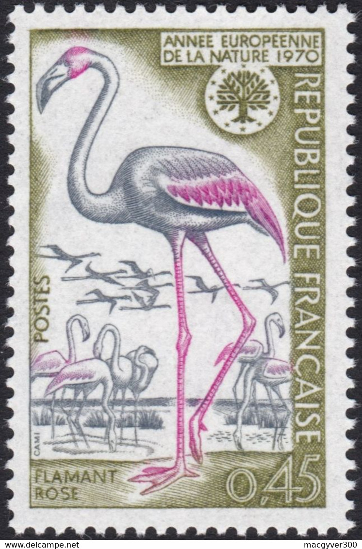 FRANCE, 1970, Flamant Rose ( Yvert 1634 ) - Flamingos