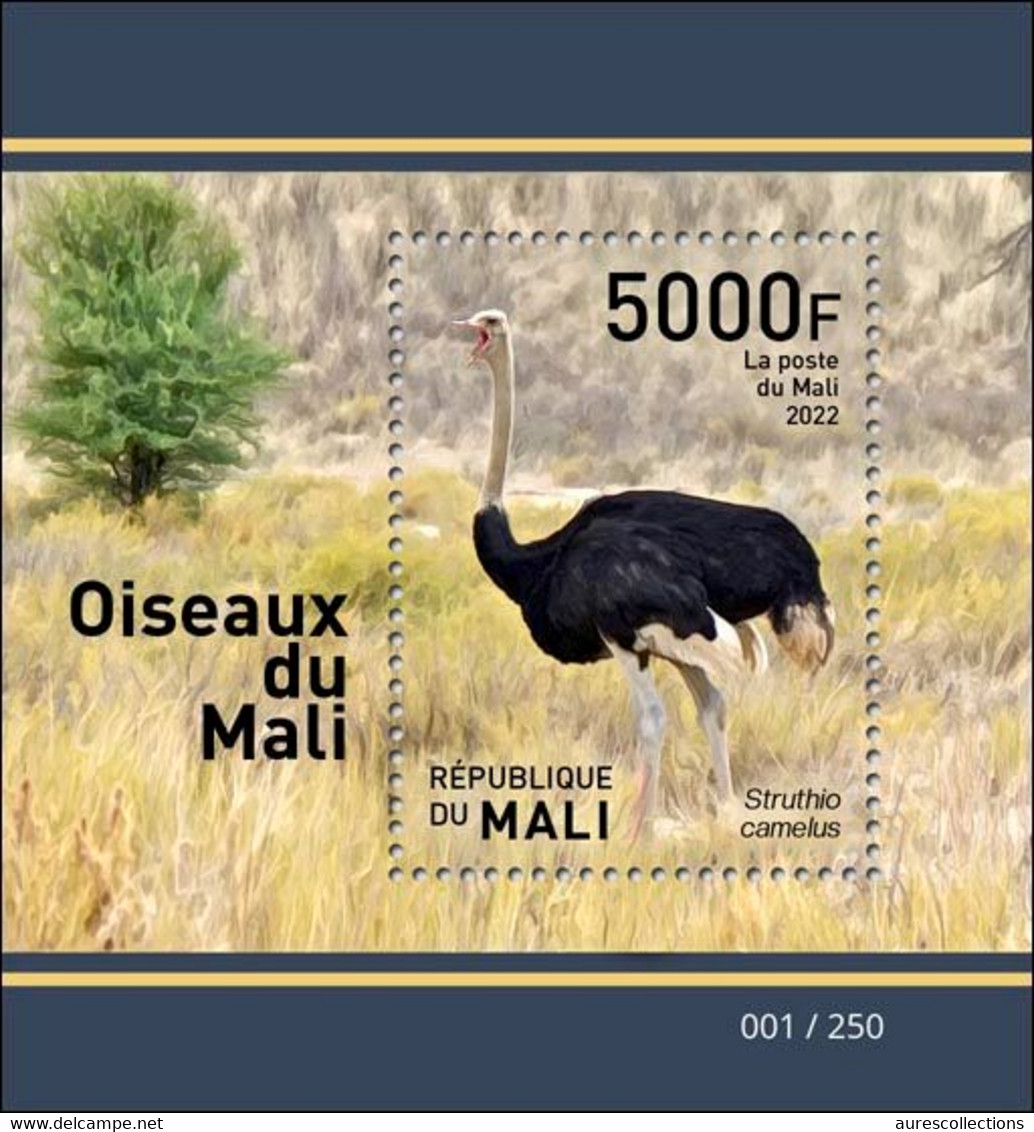 MALI 2022 SOUVENIR SHEET BLOC BLOCK BF S/S - OSTRICH AUTRUCHE AUTRUCHES - BIRDS OF MALI - OISEAUX DU MALI - RARE MNH - Ostriches