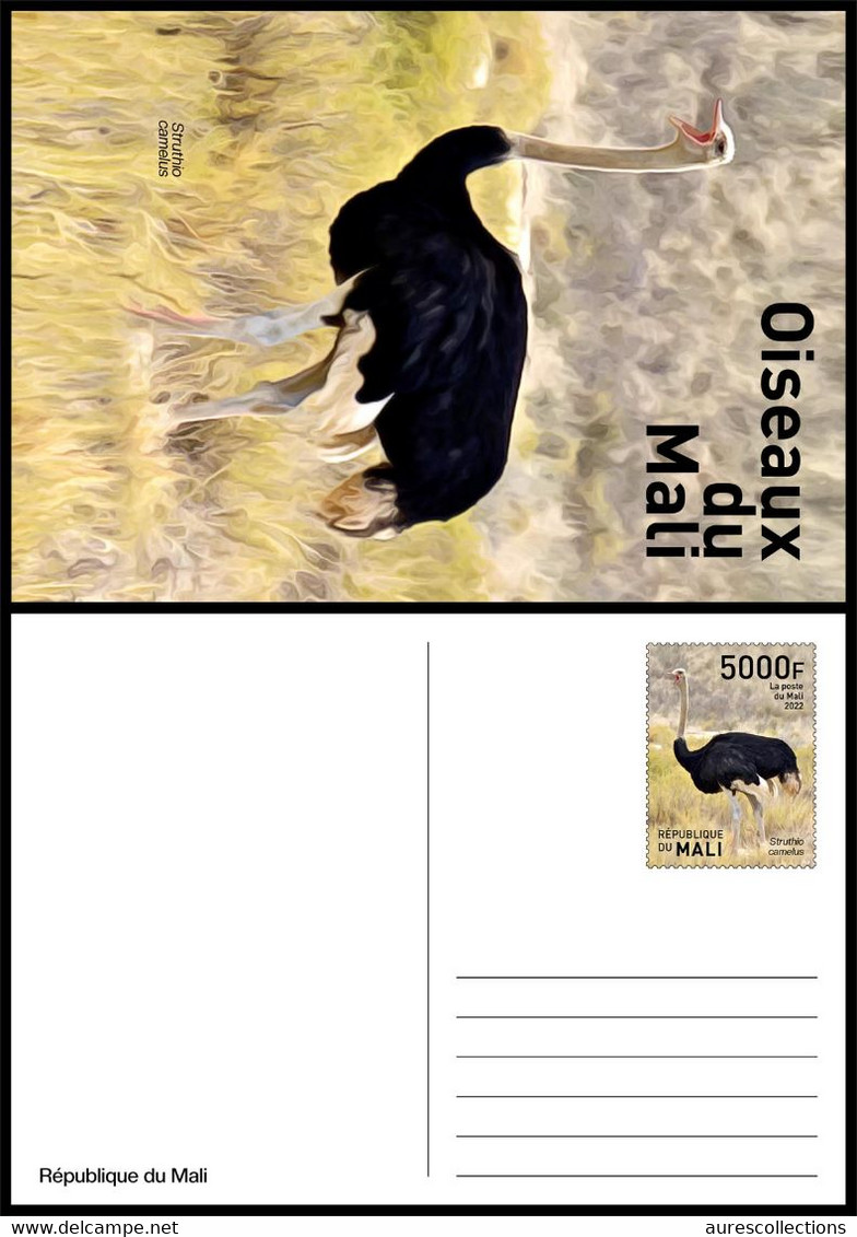 MALI 2022 STATIONERY CARD CARTE PREAFFRANCHIE - OSTRICH AUTRUCHE AUTRUCHES - BIRDS OF MALI OISEAUX DU MALI - RARE - Mali (1959-...)