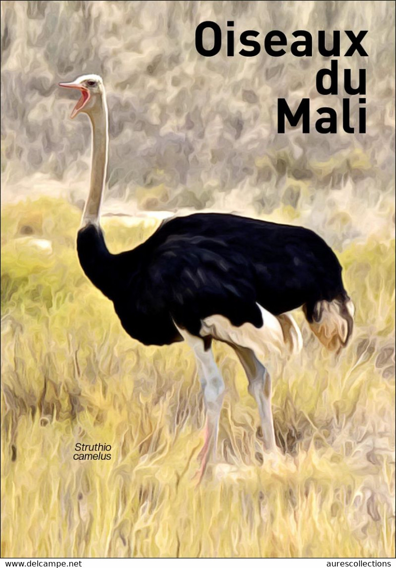 MALI 2022 STATIONERY CARD CARTE PREAFFRANCHIE - OSTRICH AUTRUCHE AUTRUCHES - BIRDS OF MALI OISEAUX DU MALI - RARE - Mali (1959-...)