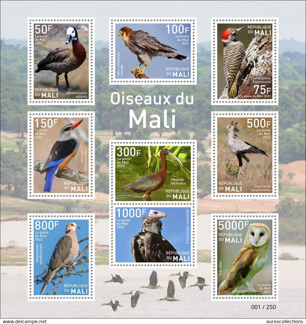 MALI 2022 MINISHEET SHEET BLOC 9V - HAWK EAGLE WOODPECKER IBIS OWLS HIBOUX DOVE SECRETARY BIRD BIRDS OISEAUX - RARE MNH - Pics & Grimpeurs