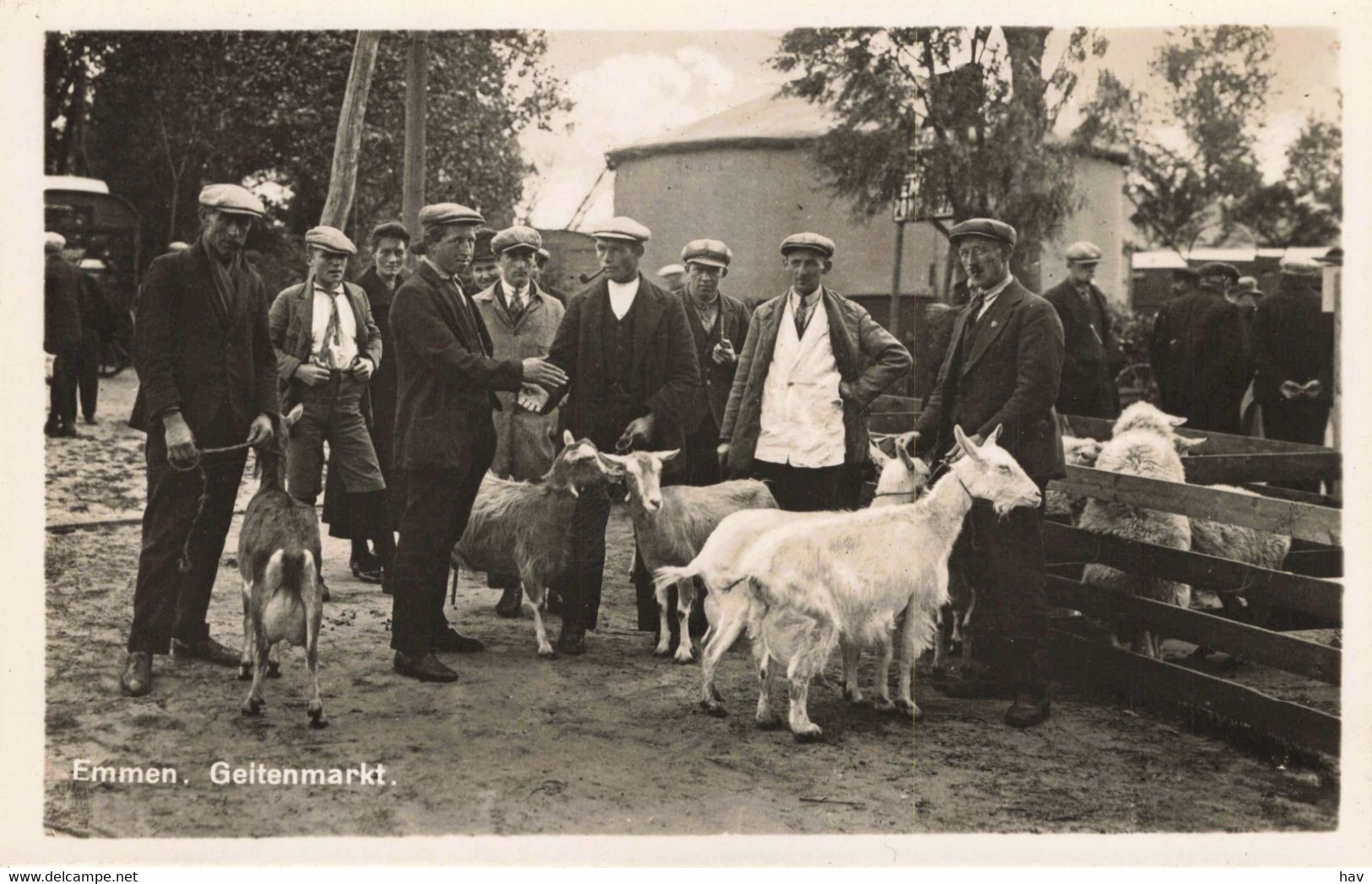 Emmen Geitenmarkt 1331 - Emmen