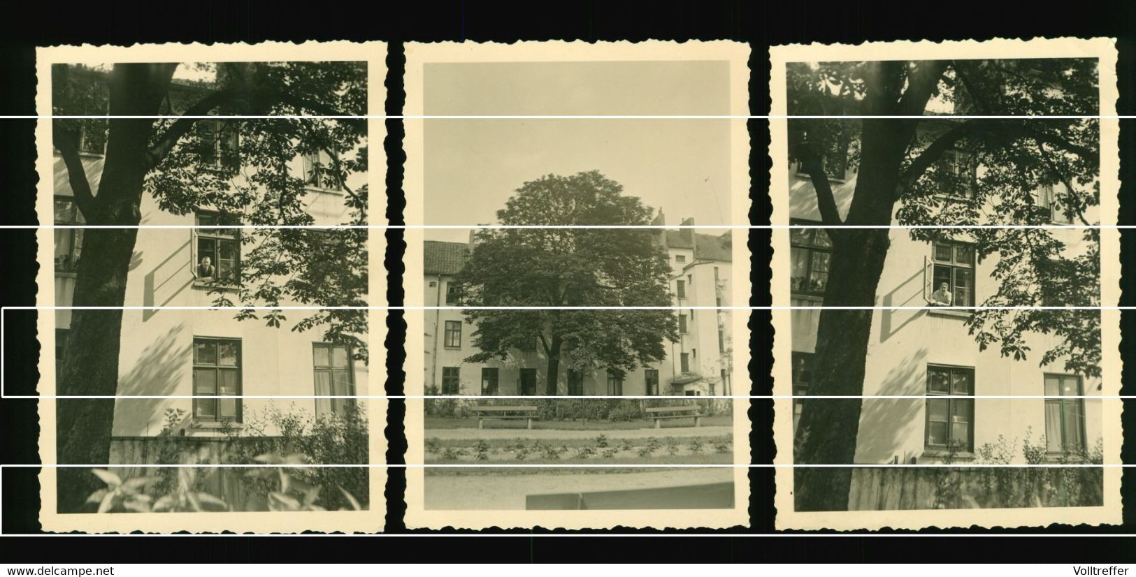 3x Orig. Foto 1938, Blick Auf Das Haus Christinenstraße 9 In Berlin Prenzlauer Berg - Prenzlauer Berg