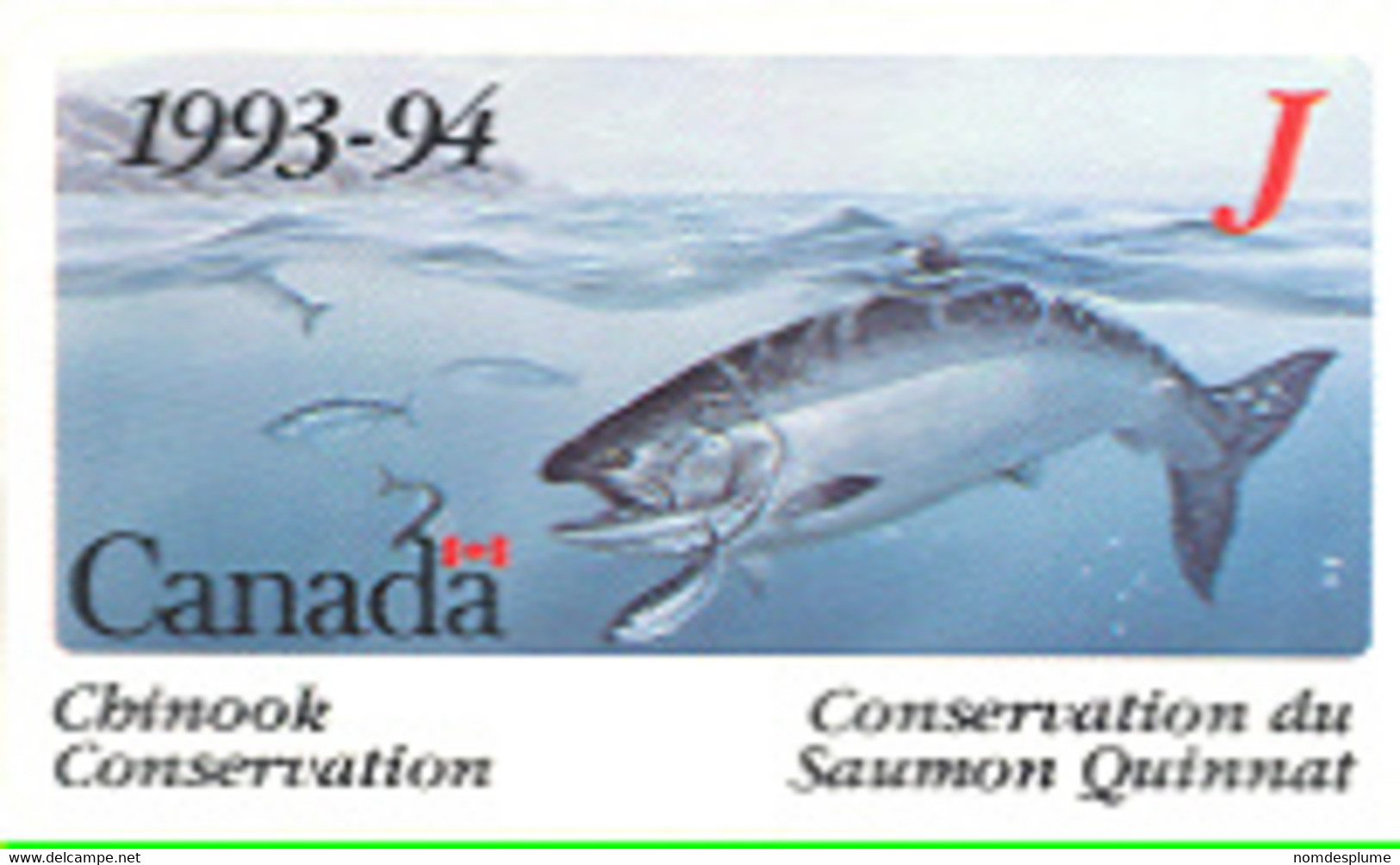 242r) BC Wildlife Cons Salmon Fish BCF5a 1993 Junior For Children Under 16 - Lettres & Documents