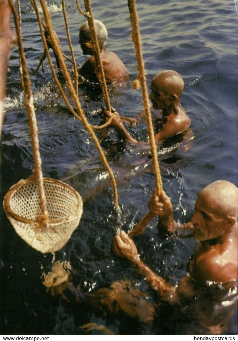 Bahrain, Native Pearl Diving, Jewelry (1980s) Postcard - Bahreïn