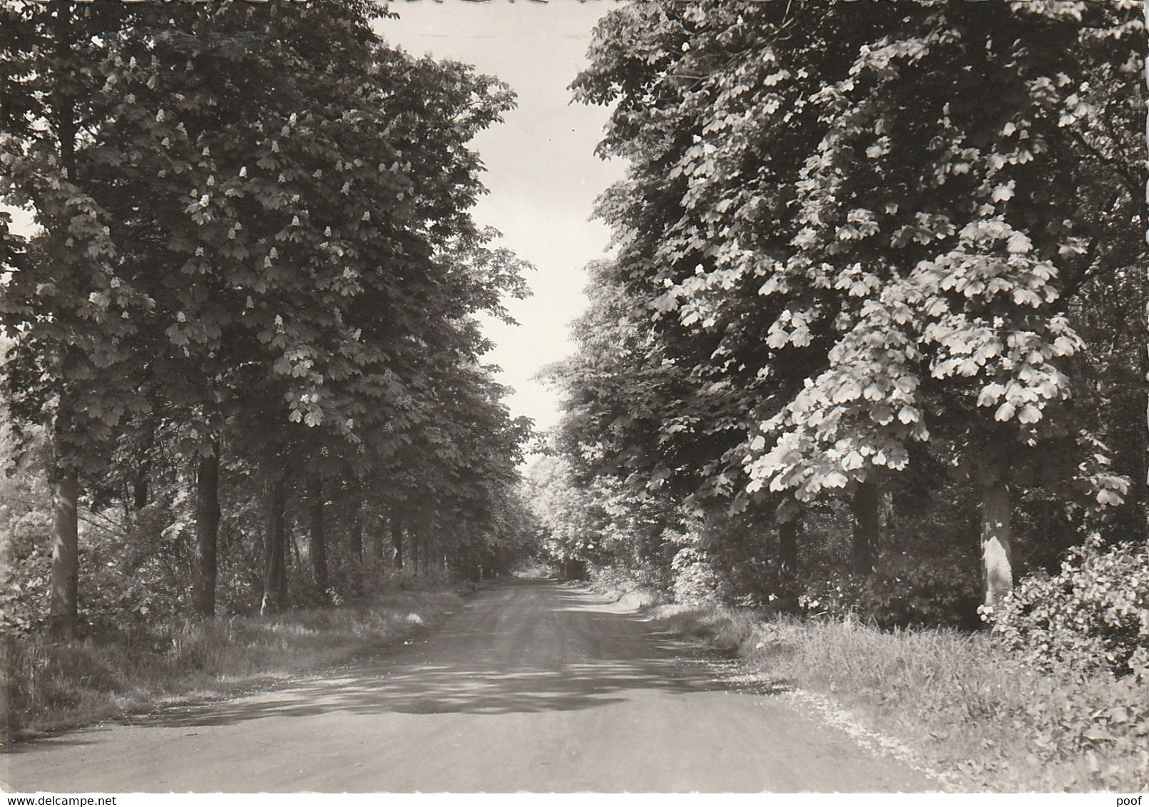 St. Antonius-Brecht ( Zoersel ) : Kroondreef / Toegangspoort Tot Het Dom. Steynhoeve - Zörsel