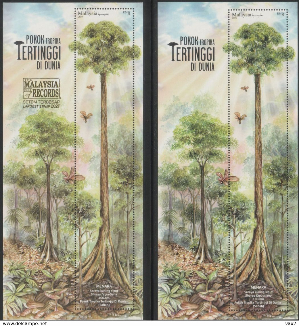 Malaysia 2020-8 Tallest Tropical Tree M/S+overprint Book Of Records MNH Flora Seed Unusual (embossed,gold) 2022 - Malasia (1964-...)