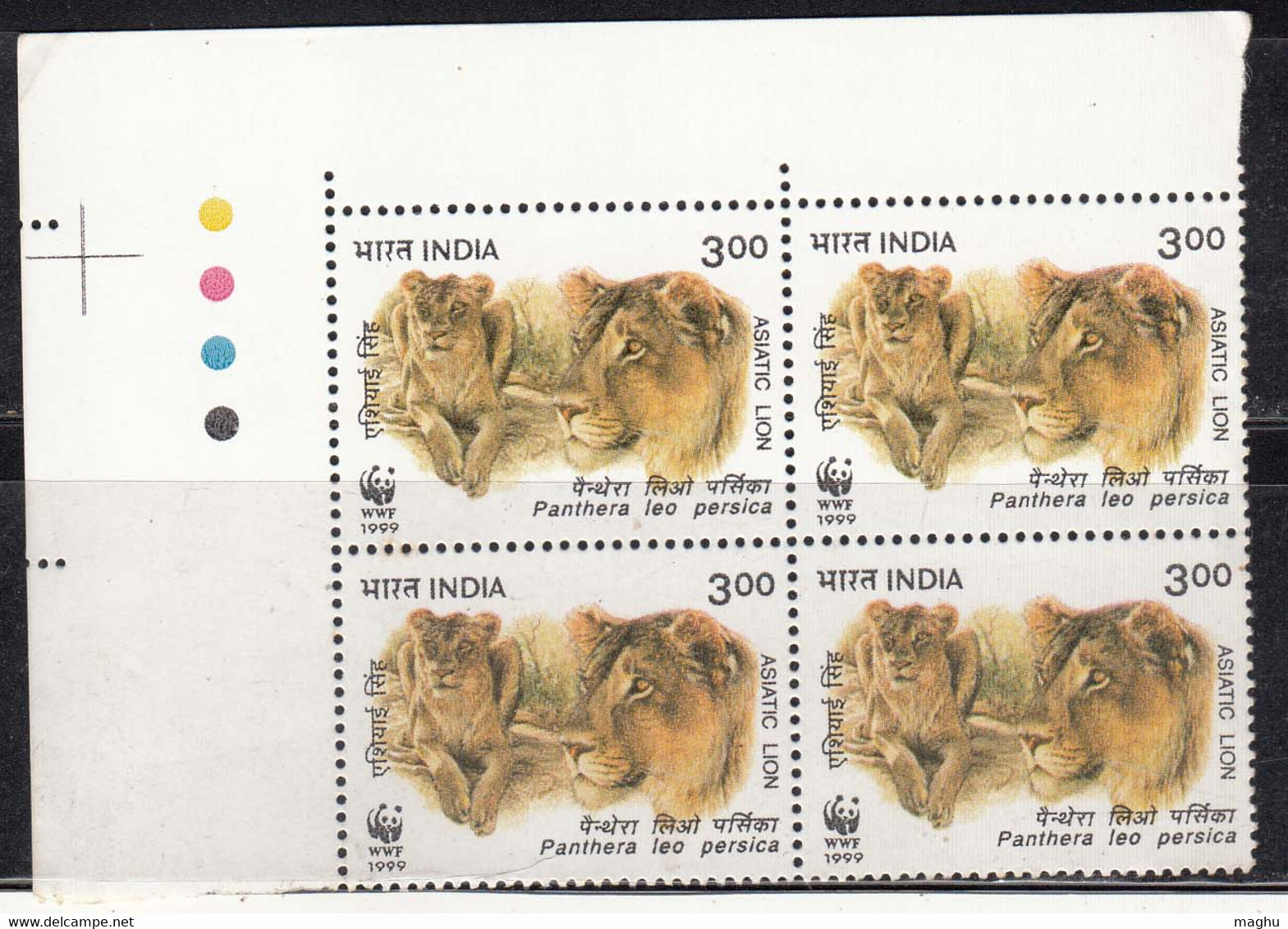 T/L India MNH 1999, Block Of Asiatic Lions, Lion, Animal, WWF, W.W.F. - Blocchi & Foglietti