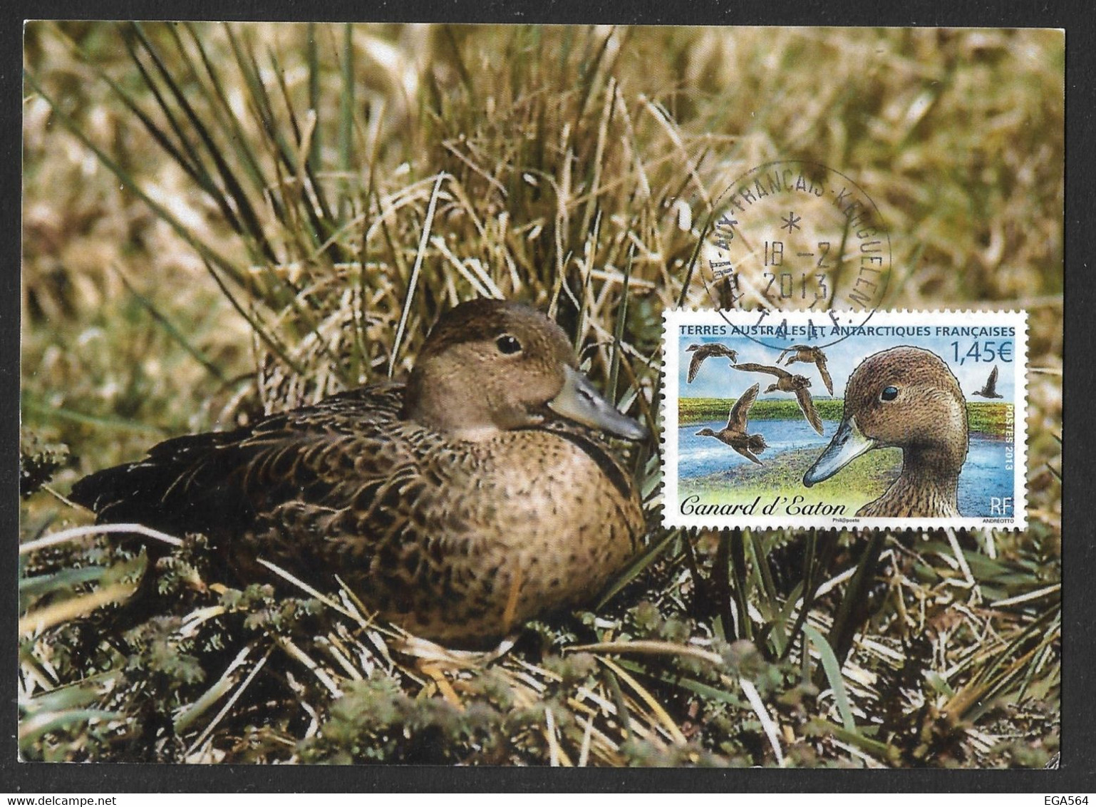 Tir2 - Y&T 652 Canard D' Eaton Sur  Carte MAXI FDC Du 18.2.2013 PORT-AUX-FRANCAIS Kerguelen. - Cartas & Documentos