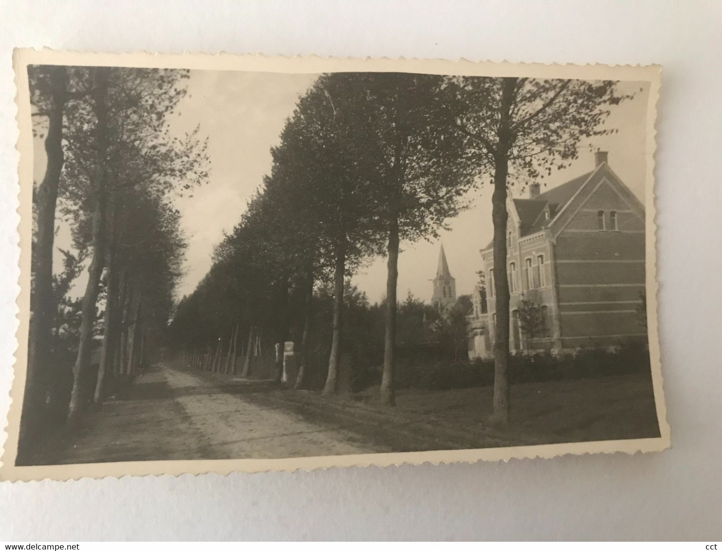 Beerse  FOTOKAART Van De Bisschopslaan - Beerse