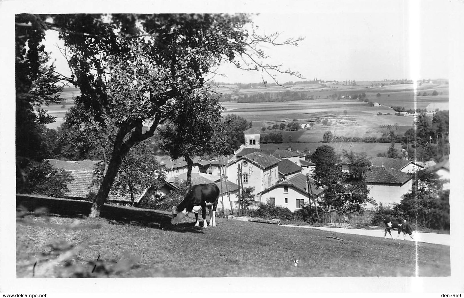 DIEMOZ (Isère) - Le Village - Vaches - Philatélie Cachet Hexagonal En Pointillés - Diémoz