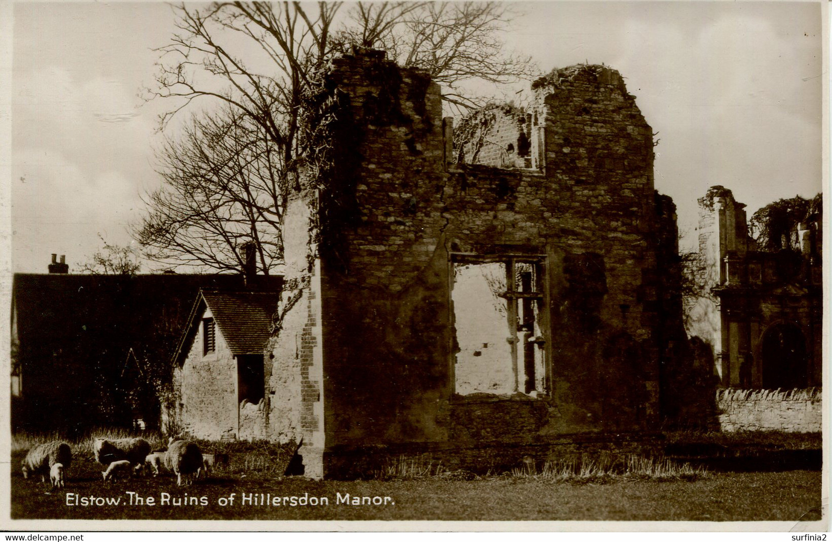 BEDS - ELSTOW - THE RUINS OF HILLERSDON MANOR RP Bd359 - Sonstige & Ohne Zuordnung