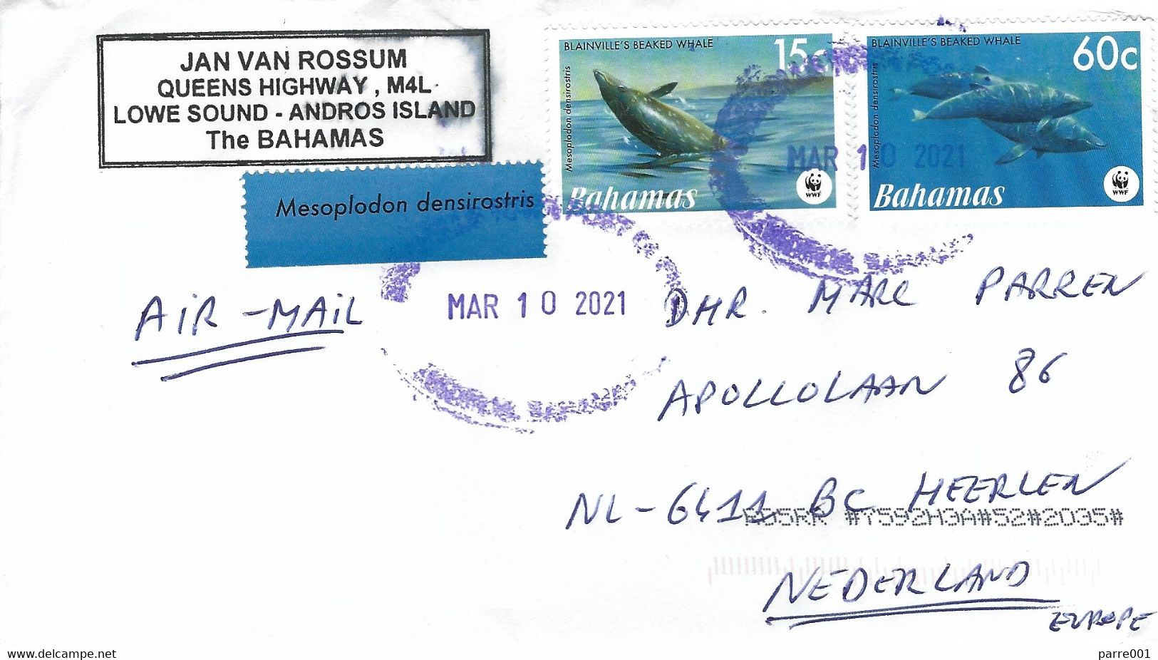 Bahamas 2021 Nicholl's Town WWF Blainville's Beaked Whale Mesoplodon Densirostris Cover - Briefe U. Dokumente