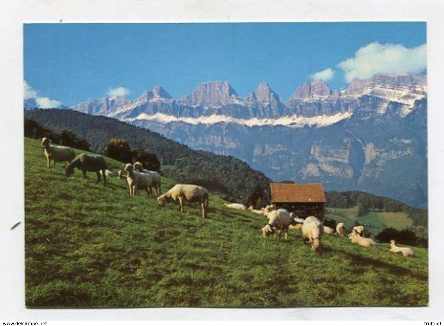 AK 079449 SWITZERLAND - Flumserberge - Schafherde Mit Churfürsten - Flums