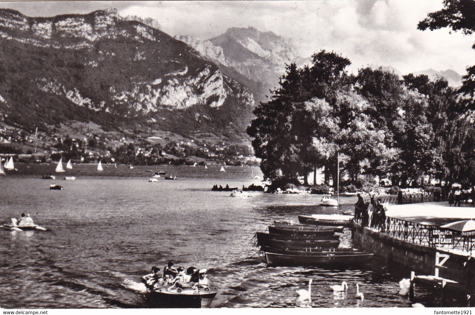 L'ILE DES CYGNES LE MONT VEYRIER (dil207) - Annecy