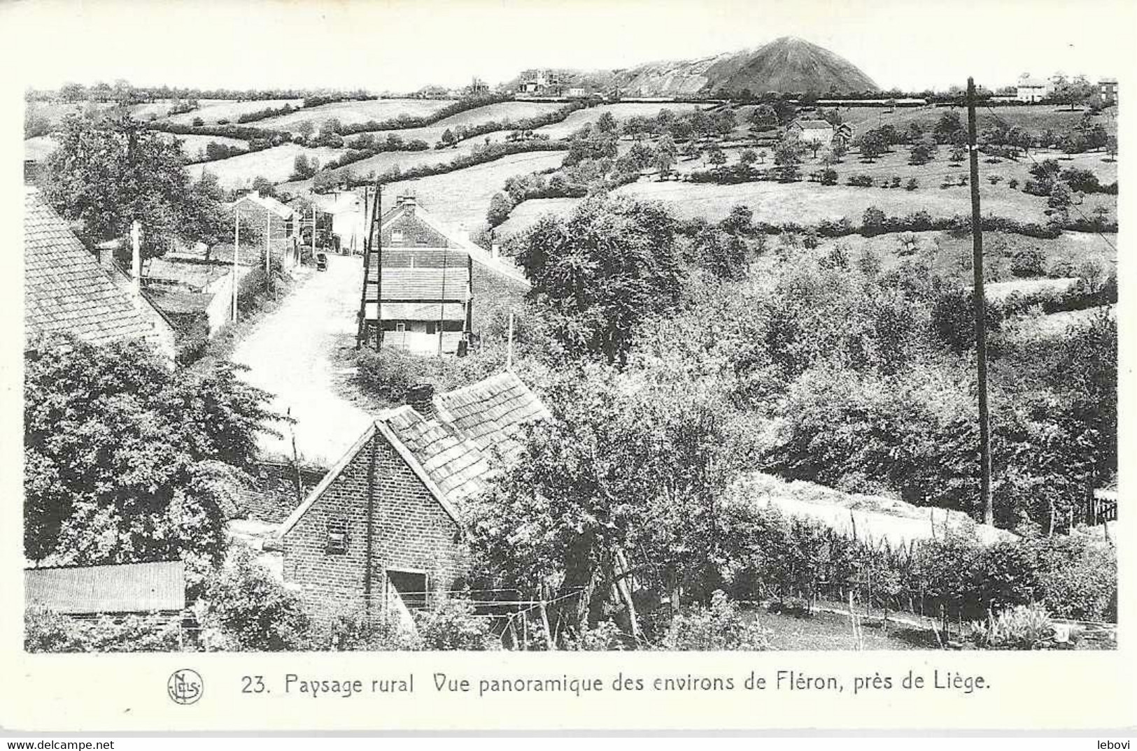 «Vue Panoramique Des Environs De FLERON, Près De Liège » - Nels - Fléron