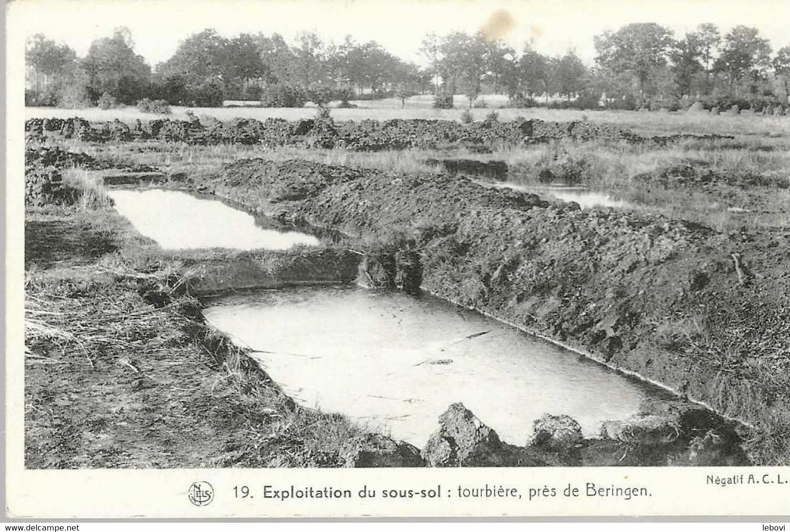 : « Tourbières, Près De BERINGEN » Nels - Beringen