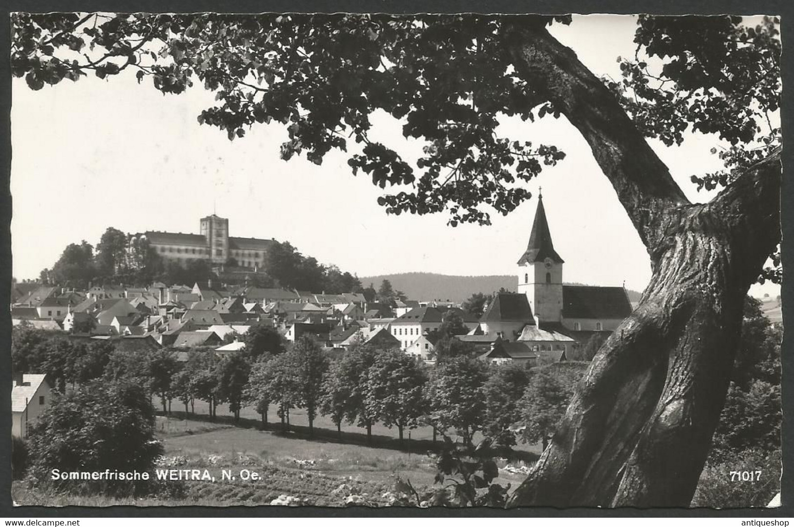 Austria-----Weitra-----old Postcard - Weitra