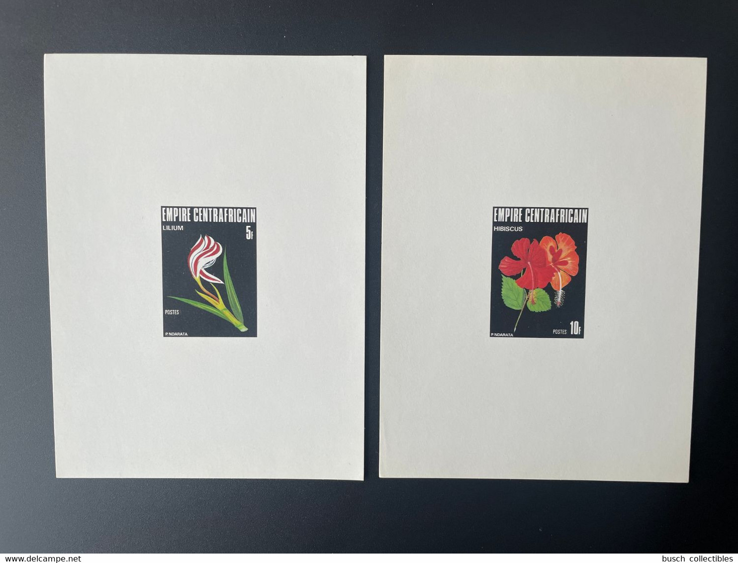 Centrafrique 1977 Mi. 507 - 508 Epreuve De Luxe Proof Fleur Blume Flower Flore Flora Lilium Hibiscus - Zentralafrik. Republik